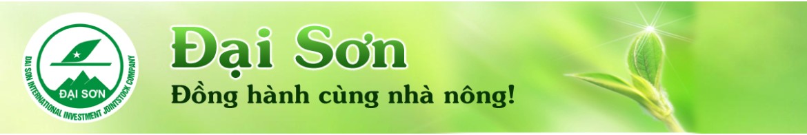 Công ty CPĐT Quốc Tế Đại Sơn